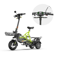 Retail Price Hot sale 3 wheel electric scooters dual motor 500W*2 off road or food delivery adult electric scooter