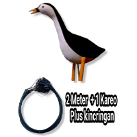 satu set patung burung ruak+jerat racik panjang 2meter 21mata(B)