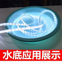 led燈帶 12V5050套管灌膠正白光軟燈條戶外防水魚缸裝飾燈帶