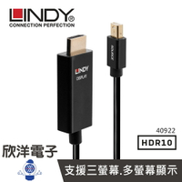 ※ 欣洋電子 ※ LINDY林帝 主動式MINI DISPLAYPORT TO HDMI 2.0 HDR轉接線 2M