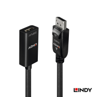 LINDY 林帝 主動式 DP1.2 to HDMI 2.0 HDR 轉接器 41062