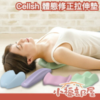 日本 Cellsh 拉伸墊 肩胛骨 體態修正墊 防駝背 肩甲骨 延伸拉筋 神器 喬脖子 肩頸彊硬 骨盆 姿勢不良【小福部屋】