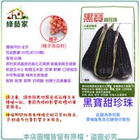 【綠藝家】大包裝G26.黑寶甜珍珠糯玉米種子90克(約350顆)