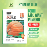BENIH LABU KUNING JUMBO / GIANT PUMKIN PUMPKIN KEMASAN IMPORT ± 5 BUTIR