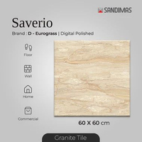 Granite Tiles Saverio Polish 60x60 D'Eurogress Sandimas