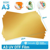 DTF Film Print (A3) 