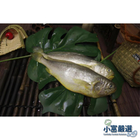 【小富嚴選】888海鮮其他魚類-馬祖黃魚-三去黃魚200/300.300/400.600/700  一夜乾 殺完實重真空包裝 300/400 500/600 殺完實重真空包裝 特價135