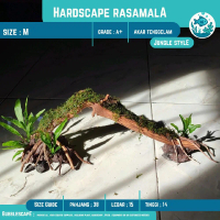 HARDSCAPE JUNGLE SIZE M (B) Hiasan Aquascape Akuarium Ornamen Aquatic