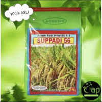 (2KG) BENIH PADI HIBRIDA F1 SUPADI 56 ORIGINAL KEMASAN 1KG