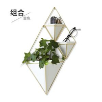 清倉umbra特里格牆飾壁掛式掛牆花盆綠植北歐風創意牆壁裝飾餐廳