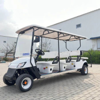 48V Golf Cart 6 seat Rental Luxurious Street Legal Buggy Adult 72V Lithium Battery 2 4 6 8 Seater Electric Golf Cars