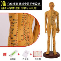 全城熱賣 - 中醫針灸穴位人體模型教學全身十二經絡圖小皮人軟膠扎針練習模特升級版52CM男銅硬模高畫質大字體