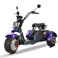 Electric Tricycles 3 Wheel Electric Cargo Bike Tricycle Motorcycle Electric