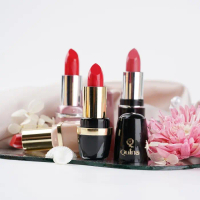 [HARGA GROSIR]Quina Lipstick Beauty/Lipstik Make Up Kosmetik/Lipstik