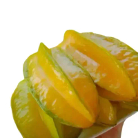 Bibit Belimbing Madu Tanaman Okulasi Buah