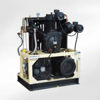 Bottle making machine Tenyue high pressure electrical car portable air condition compressor pump 12v 500 liter air compressor