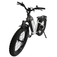 26*4.0 750W 1000W big power Fat tire electric Mountain E bike/Snow bike/electric bicycle with CE custom