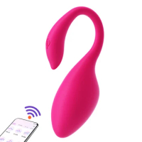 Panties Vibrator Female Sex Toys G Spot Massager Clitoris Stimulator Masturbation Vibrating Egg 9 Modes APP Remote Control