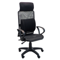 LOGIS-亞伯特超高背大護腰透氣全網坐墊椅 辦公椅 電腦椅 書桌椅