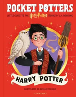 Children Book - HARRY POTTER - 9781526672605
