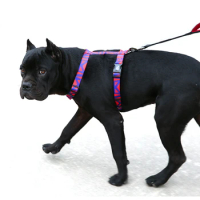 DODOPET pet chest harness I-shaped chest back small and medium-sized dog harness large dog chest harness