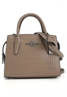Coach Andrea 手挽袋 (me)