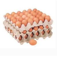Factory Sale Small Egg Tray Making Machine Price in India / Manual Egg Tray Machine