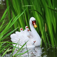 戶外花園水池水面造景仿真浮水白鵝庭院池塘漂浮裝飾擺件樹脂雕塑