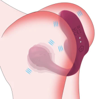 Wearable Vibrating Eggs Panties Stimulator Wireless Remote Control Vibrator G Spot Clitoris Massager Adult Sex Toy for Women