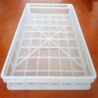 Incubator Accessories Brooding Basket Plastic Material Egg Tray Poultry Egg Basket Automatic Household Small Egg Incubator