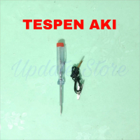 Tespen Aki Mobil 6-24 Volt