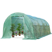 Outdoors Greenhouse 20'x10'x7'Steel Greenhouse Kit Walk-in Green House Indoor Greenhouse Plant Shelves Tomato Herb Canopy
