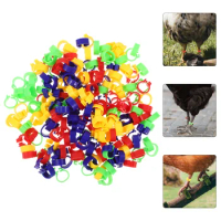200 Pcs Tag Homing Pigeon Identification Anklet Bird Accessories Chick Leg Rings Poultry Feet