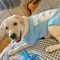 狗狗衣服薄款夏季寵物金毛拉布拉多薩摩耶柯基中型大型犬春秋背心