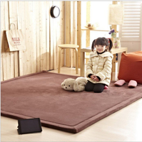 新款加厚 2.5cm 日本 130*190 CM 纖細超厚珊瑚絨地毯 地墊 爬行墊 遊戲墊 加厚地毯