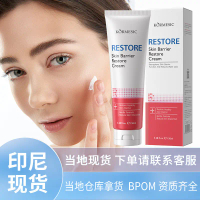 BPOM Indonesia KORMESIC Skin Barrier Repair Cream BPOM Cross Border Foreign Trade Manufacturer Whole