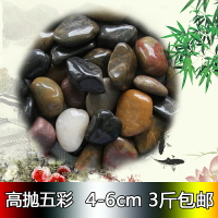 南京雨花石花盆園藝畫鵝卵石天然五彩色石頭石子大小庭院魚缸烏龜