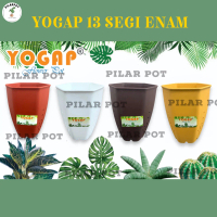 POT BUNGA TANAMAN TINGGI YOGAP 13 SEGI 6 WARNA WARNI - YOGAP YP6 13