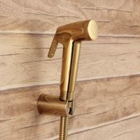 Luxury Gold ABS plastic shower Spray set handheld toilet shower spray jet Complete set golden shower head hose holder set