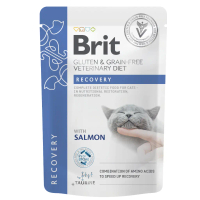 Brit Cat Pouch Recovery (85g) Sick Inappetence High Energy Chronic Illness Force Feed Easy Pump