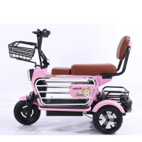 Folding Three-wheeled Electric Scooter Charger Adult Parent-child Travel Electric Tricycles Vehicle for Adults 48V Open 150KG