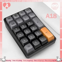 Aigo A18 Number Keypad Mini Portable Pad 2 Mode USB 2.4G Wireless Custom Keyboard Hot-swap For Laptop 22keys Numeric Keypad Gift