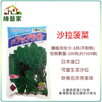 【綠藝家】大包裝A51.沙拉菠菜種子100克
