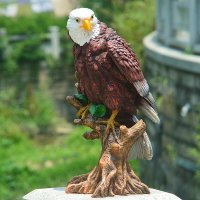 實拍 超大號老鷹擺件 仿真動物模型 雕 家居裝飾品