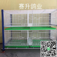 【千羽家居】種鴿 賽鴿 鳥籠 配對籠鴿子籠臺式繁殖巢箱賽升信鴿配對籠觀察 訓放 展示籠二層