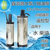 電動油泵12v24v220伏潛水泵直流電瓶小油泵柴油泵微型抽油抽水泵