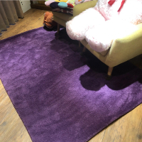 【山德力】凡地剛地毯 - 紫 160x230cm(地墊 多色 溫暖 冬天 生活美學)