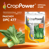 (500 GRAM) Biji Benih Sawi Jepun Four Season DPC477 CROP POWER Dwarf Pak Choy seeds DPC 477