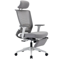 Ergonomic High Back Office Chair with 2D Armrest and Foot Rest, Tilt Function up to 128° - Comfortable Grey Mesh Desk Chair for