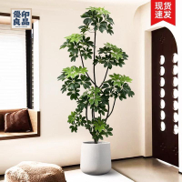 免運 工廠現貨 仿真樹 仿真綠植 仿真植物 裝飾假樹 仿真綠植假植物鴨腳木高端輕奢裝飾室內盆栽仿生大型客廳擺件樹免運 工廠現貨 仿真樹 仿真綠植 仿真植物 裝飾假樹免運/可開發票 工廠直銷 特價出 y